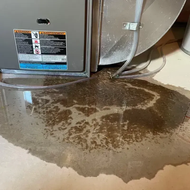 Appliance Leak Cleanup in Rayville, LA